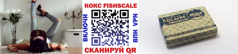 Cocaine FishScale  Бийск 