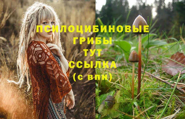 ГАЛЛЮЦИНОГЕННЫЕ ГРИБЫ Армянск