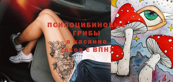 ГАЛЛЮЦИНОГЕННЫЕ ГРИБЫ Армянск