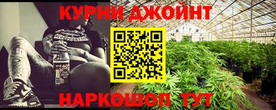 шишки Боровичи
