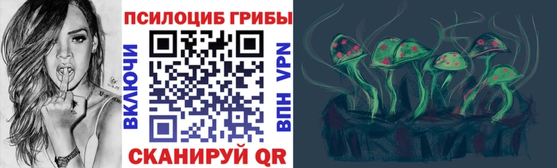 купить   Бийск  kraken сайт  Галлюциногенные грибы GOLDEN TEACHER 