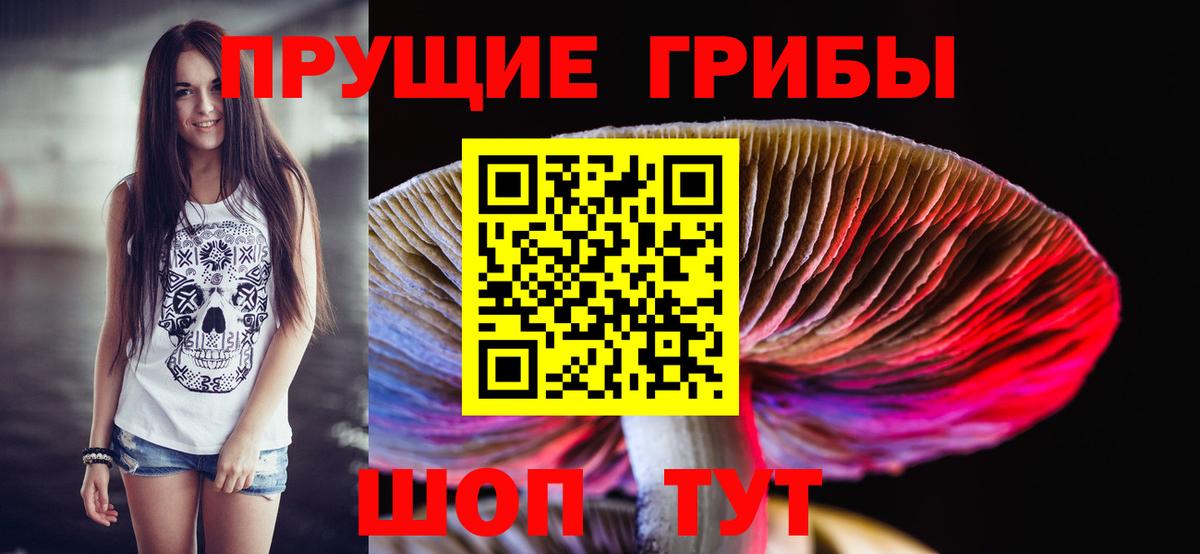Псилоцибиновые грибы мухоморы  Вход с VPN  Бийск 